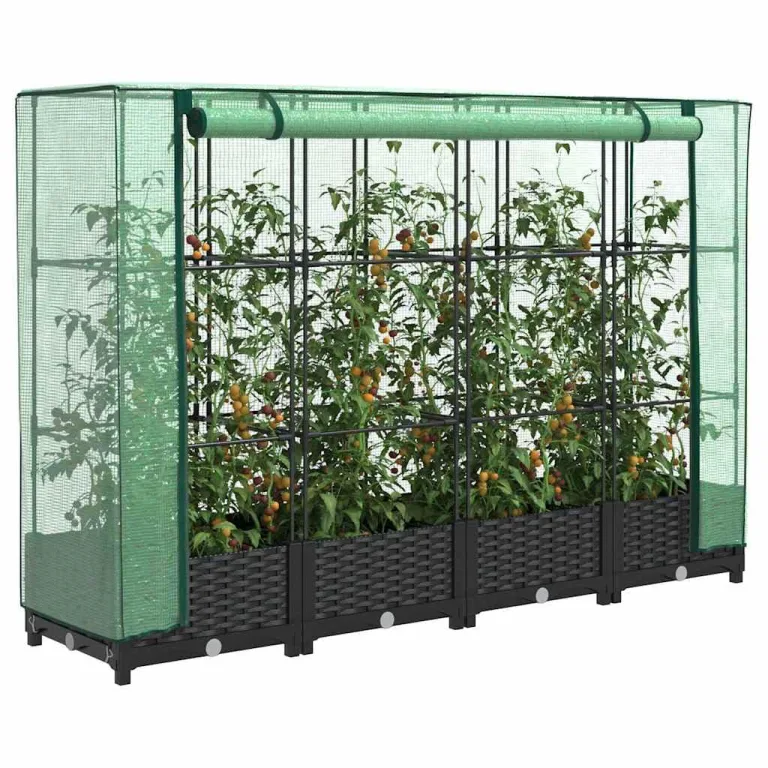 Hochbeet mit Gewächshausabdeckung 160x40x123 cm Rattanoptik Gartenbeet inklusive stabilem Eisenrahmen und wetterfester PE-Abdeckung für Gemüse Kräuter Blumen auf Balkon Terrasse – Bild 1