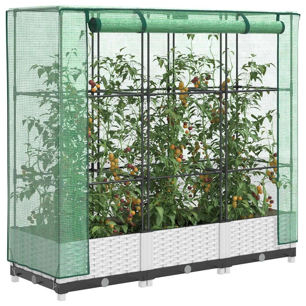 Hochbeet mit Gewächshaus Frühbeet Tomatenhaus 120x40x123 cm Rattan Optik Weiß, Stabiles PP Beet mit Eisenrahmen und Wasserdichter Abdeckung für Garten Balkon Terrasse - Bild 1