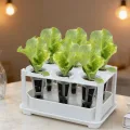 Zimmergewächshaus Anzuchtkasten, Mini Gewächshaus Anzuchtset, 6 Loch Anzuchttöpfe Abnehmbar, Wiederverwendbar Setzling Starter Tabletts, Für Gemüseanbau, Sukkulenten, Hausgärten - Thumbnail 3