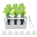 Zimmergewächshaus Anzuchtkasten, Mini Gewächshaus Anzuchtset, 6 Loch Anzuchttöpfe Abnehmbar, Wiederverwendbar Setzling Starter Tabletts, Für Gemüseanbau, Sukkulenten, Hausgärten - Thumbnail 10