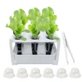 Zimmergewächshaus Anzuchtkasten, Mini Gewächshaus Anzuchtset, 6 Loch Anzuchttöpfe Abnehmbar, Wiederverwendbar Setzling Starter Tabletts, Für Gemüseanbau, Sukkulenten, Hausgärten - Thumbnail 1