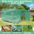 Gewächshaus 3x8 m extra groß, Foliengewächshaus mit 8 Fenstern & Tür, stabiles Stahlgestell, wetterfest & UV-beständig, Gewächshaus für Garten Pflanzen - Thumbnail 7