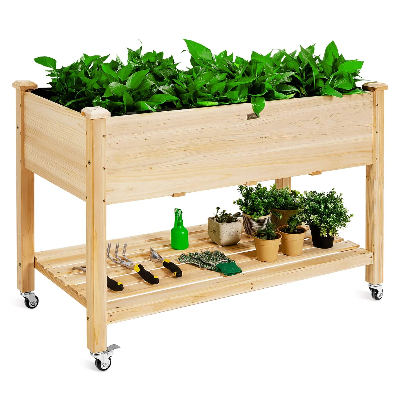 COSTWAY Hochbeet mit Rollen & Ablage, Erhöhtes Gartenbeet aus Holz, Pflanzkasten mit Abflusslöcher & Abdeckfolie, Tannenholz, Kräuterbeet für Balkon Garten Terrasse, 120 x 59 x 84 cm, Natur - Bild 1