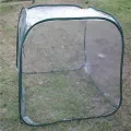 GewäChshaus Treibhaus Tomatenhaus 98X98X98cm PVC Faltbare Gewächshaus Wintergarten Mini Gewächshaus Garten Abdeckung - Thumbnail 10