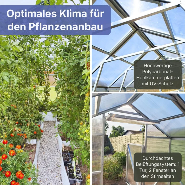 Stahl Gewächshaus Smart 200x300x220cm mit Holzfundament | UV-beständige 4 mm Hohlkammerplatten | Automatischer Fensteröffner inkl. | Winterfestes Tomatenhaus & Treibhaus für Garten – Bild 3