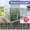 Stahl Gewächshaus Smart 200x300x220cm mit Holzfundament | UV-beständige 4 mm Hohlkammerplatten | Automatischer Fensteröffner inkl. | Winterfestes Tomatenhaus & Treibhaus für Garten - Thumbnail 2