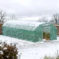 XMTECH Gewächshaus 3x6m 18m², Foliengewächshaus mit 6 Fenstern & Tür, Tomaten Gewächshaus, wetterfeste Lichtfolie, rostfreier Stahlrahmen, Insektenschutz, einfacher Aufbau für Obst und Gemüse - Thumbnail 9