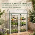 Outsunny Garten-Gewächshaus mit Regalen, 3 Ebenen, Spitzdach, kleines Balkongewächshaus aus PVC-Plane und Stahlrahmen, 2 Rolltüren, für Gemüse, Pflanzen, Blumen, 143 x 46 x 165 cm, transparent - Thumbnail 3