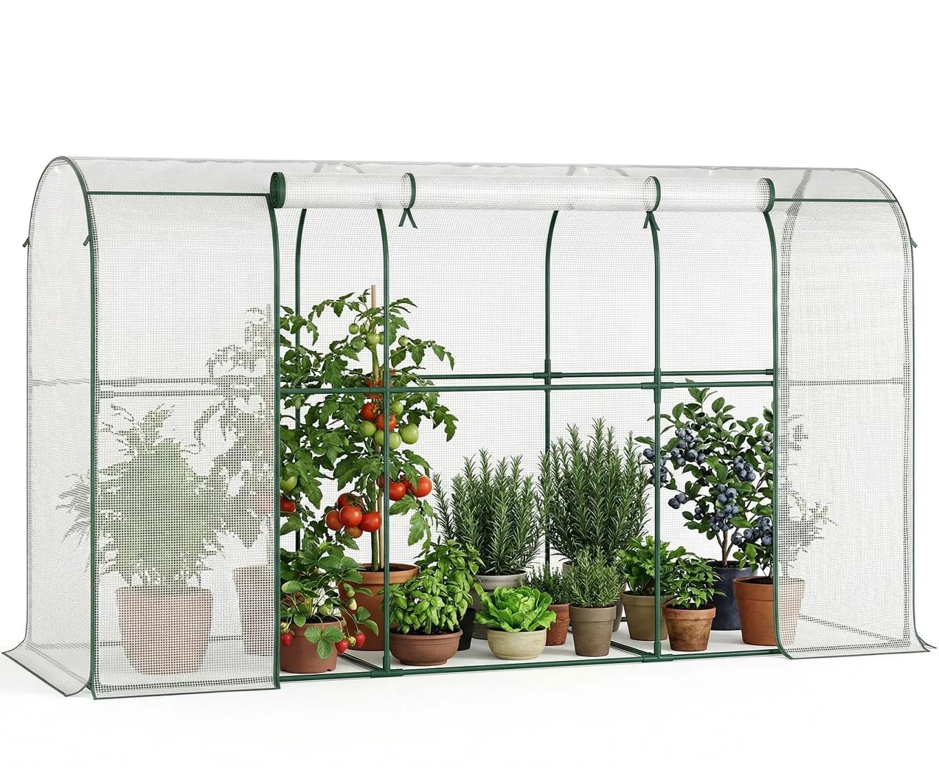 Gewächshaus - 300x100x170 cm - Begehbarer Tomatengewächshaus Foliengewächshaus für Pflanzen - Stabil, UV-Beständig, Optimales Pflanzenwachstum - Frühbeet, Gemüse, Blumen, Obst - Bild 1