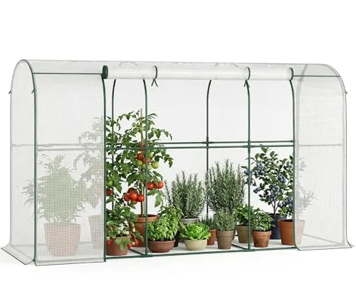 Gewächshaus - 300x100x170 cm - Begehbarer Tomatengewächshaus Foliengewächshaus für Pflanzen - Stabil, UV-Beständig, Optimales Pflanzenwachstum - Frühbeet, Gemüse, Blumen, Obst – Bild 9