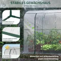 Gewächshaus - 300x100x170 cm - Begehbarer Tomatengewächshaus Foliengewächshaus für Pflanzen - Stabil, UV-Beständig, Optimales Pflanzenwachstum - Frühbeet, Gemüse, Blumen, Obst - Thumbnail 3