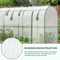 Gewächshaus - 300x100x170 cm - Begehbarer Tomatengewächshaus Foliengewächshaus für Pflanzen - Stabil, UV-Beständig, Optimales Pflanzenwachstum - Frühbeet, Gemüse, Blumen, Obst - Thumbnail 7