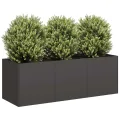 Pflanzgefäß Pflanzkübel Gartenpflanzen Gartenbeet Hochbeet Frühbeet Pflanzkasten Blumenkasten Gartenpflanzen Schwarz 120 x 40 x 40 cm Kaltgewalzter Stahl - Thumbnail 1