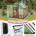 LZQ Gewächshaus Aluminium mit Fundament 310x250x205cm Gartengewächshaus Treibhaus 4mm PC-Hohlkammerplatten Tomatenhaus mit Schiebetür Dachfenster Pflanzenhaus Wetterfest für Aufzucht Gemüse, 8x10 ft - Thumbnail 8