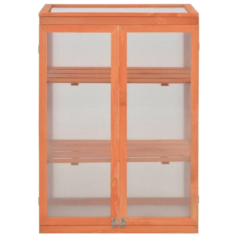 Holz Gewächshaus klein mit 2 Regalböden, Pflanzenhaus aus PC-Platte und starkem Holz, Frühbeet 75x47x109 cm, Scharnierdeckel zum leichten Gießen, Pflanzenschrank für Kräuter – Bild 2