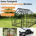 Aluminium Gewächshaus 8x10FT mit Fundamentrahmen & Dachfenster, extra stabiles Tomatenhaus wetterfest & rostfrei, großes Pflanzenhaus für Gemüse- und Pflanzenanzucht, Treibhaus 310x250x205cm - Thumbnail 4