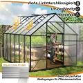 Aluminium Gewächshaus 8x10FT mit Fundamentrahmen & Dachfenster, extra stabiles Tomatenhaus wetterfest & rostfrei, großes Pflanzenhaus für Gemüse- und Pflanzenanzucht, Treibhaus 310x250x205cm - Thumbnail 6