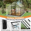 Aluminium Gewächshaus 8x10FT mit Fundamentrahmen & Dachfenster, extra stabiles Tomatenhaus wetterfest & rostfrei, großes Pflanzenhaus für Gemüse- und Pflanzenanzucht, Treibhaus 310x250x205cm - Thumbnail 7