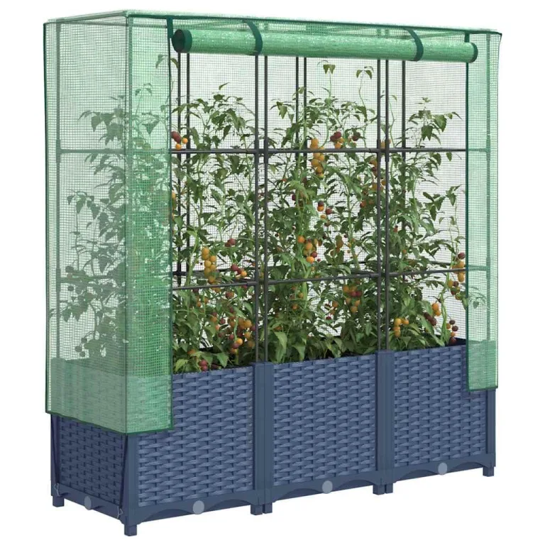 Frühbeet für Pflanzen mit Hochbeet und Abdeckung in Tomatenhaus Rattan-Optik für Garten und Balkon – Bild 2
