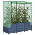 Frühbeet für Pflanzen mit Hochbeet und Abdeckung in Tomatenhaus Rattan-Optik für Garten und Balkon - Thumbnail 2