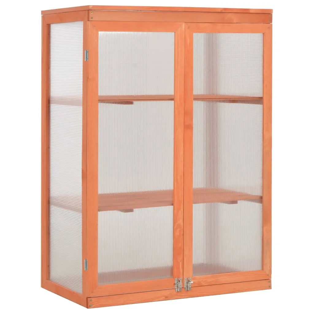 Gewächshaus-Schrank Holz mit PC-Platte 75x47x109 cm, 2 Regale, Wasserfestes Frühbeet und Pflanzhaus für Garten, Balkon, Terrasse, Frostschutz und optimale Pflanzenaufzucht - Bild 1