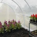 Gewächshaus 18m² mit verzinktem Stahlgestell 600x300x200 cm, 8 Fenster und Tür, wetterfestes Treibhaus für Gemüse, Tomaten, Frühbeet, Pflanzen, Outdoor Garten Schutz - Thumbnail 10