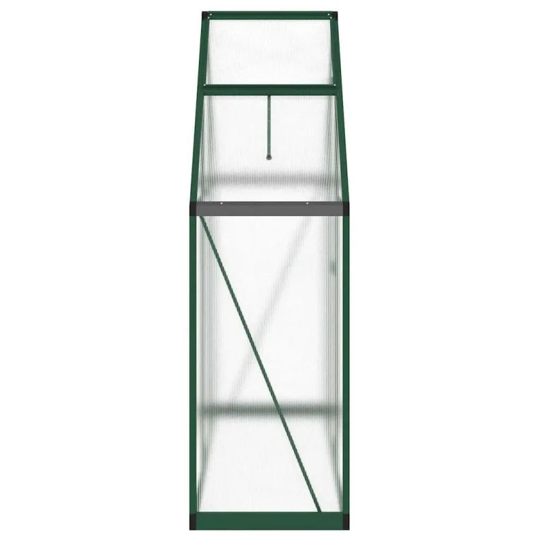 Gewächshaus mit Fundamentrahmen aus Aluminium 169x58x195 cm grün, UV-beständiges Pflanzenhaus mit Polycarbonat Platten, Wetterfestes Treibhaus für Garten, Balkon, Terrasse – Bild 3