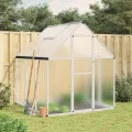 Gewächshaus mit Fundamentrahmen aus Aluminium, 169x169x195 cm, wetterfestes Treibhaus mit UV-beständigen Polycarbonatplatten, Pflanzenschutz für Garten, Balkon, Terrasse, Gemüseanbau - Thumbnail 1