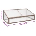 Gewächshaus Tannenholz 110x56x39 cm Grau, Frühling Pflanzenschutz, Holzgewächshaus klein mit Klappdeckel für Pflanzen, Kräuter, Gemüse und Blumen - Thumbnail 7