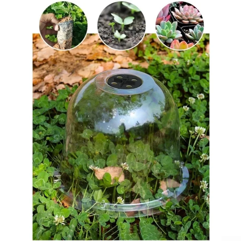 Stück Transparente Pflanzenhaube aus PET mit Lüftung – für Mini Gewächshaus für Pflanzen als Anzuchthaube mit Feuchtigkeitsregler zum Schutz von Keimlingen und Saatgut – Bild 6