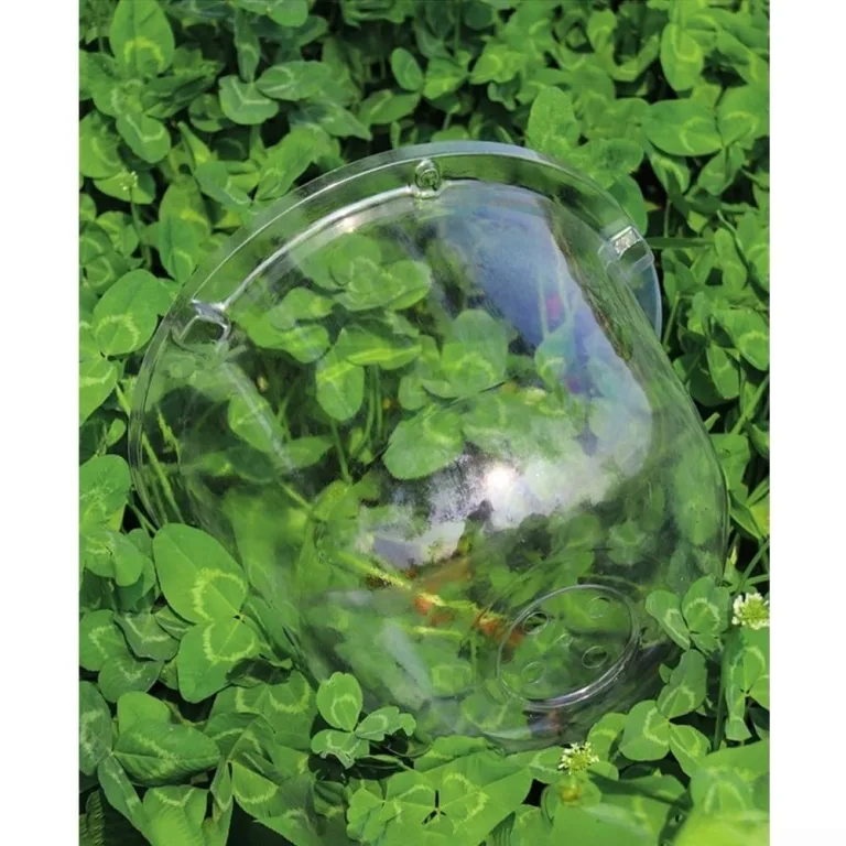 Stück Transparente Pflanzenhaube aus PET mit Lüftung – für Mini Gewächshaus für Pflanzen als Anzuchthaube mit Feuchtigkeitsregler zum Schutz von Keimlingen und Saatgut – Bild 9