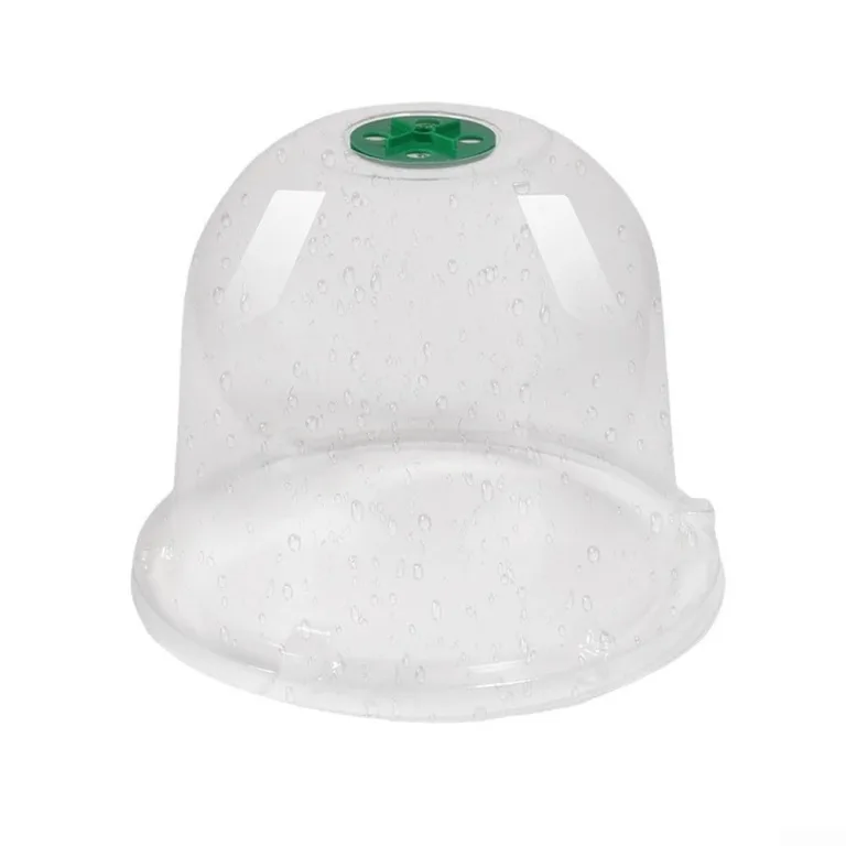 Stück Transparente Pflanzenhaube aus PET mit Lüftung – für Mini Gewächshaus für Pflanzen als Anzuchthaube mit Feuchtigkeitsregler zum Schutz von Keimlingen und Saatgut – Bild 1