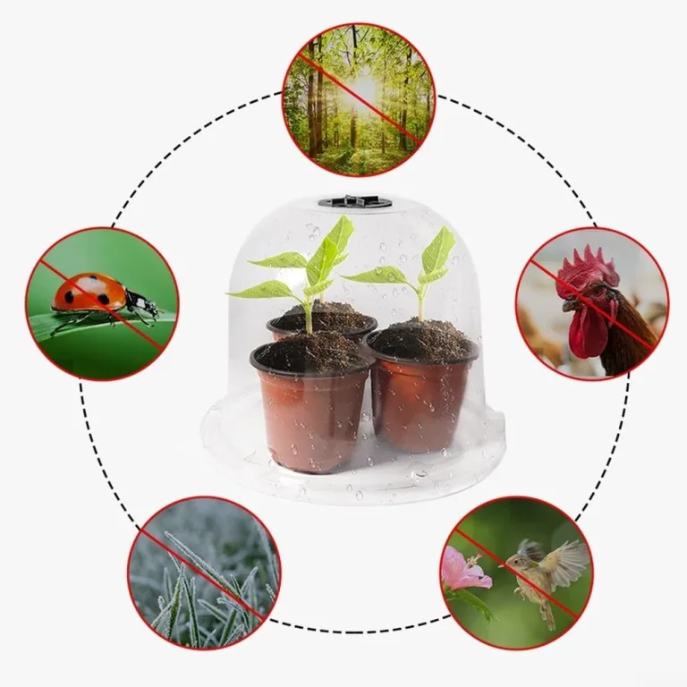 Stück Pflanzenhaube Transparent aus PET mit Verstellbarer Lüftung, für Mini Gewächshaus für Töpfe als Anzuchthaube und Schutz, Klare Abdeckung für Stecklinge im Garten – Bild 5