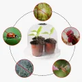 Stück Pflanzenhaube Transparent aus PET mit Verstellbarer Lüftung, für Mini Gewächshaus für Töpfe als Anzuchthaube und Schutz, Klare Abdeckung für Stecklinge im Garten - Thumbnail 5