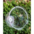 Stück Pflanzenhaube Transparent aus PET mit Verstellbarer Lüftung, für Mini Gewächshaus für Töpfe als Anzuchthaube und Schutz, Klare Abdeckung für Stecklinge im Garten - Thumbnail 8