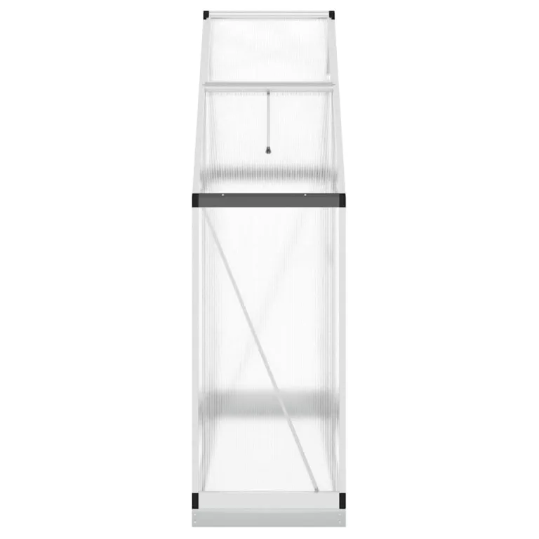 Gewächshaus mit Fundamentrahmen Silbern 169x58x202cm Aluminium Polycarbonat 4 mm, Treibhaus mit Lüftungsfenster und Flügeltür, Schutz für Anzucht überwinterung im Garten – Bild 3